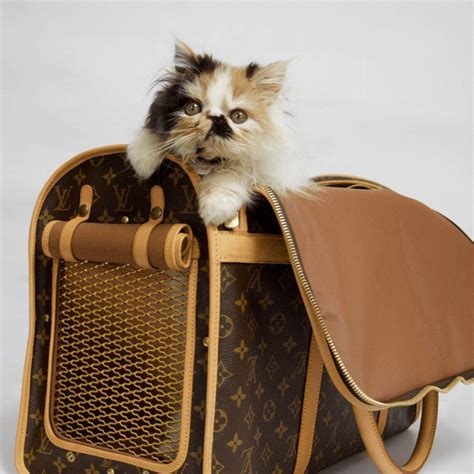 louis vuitton inspired dog carrier|authentic Louis Vuitton pet carrier.